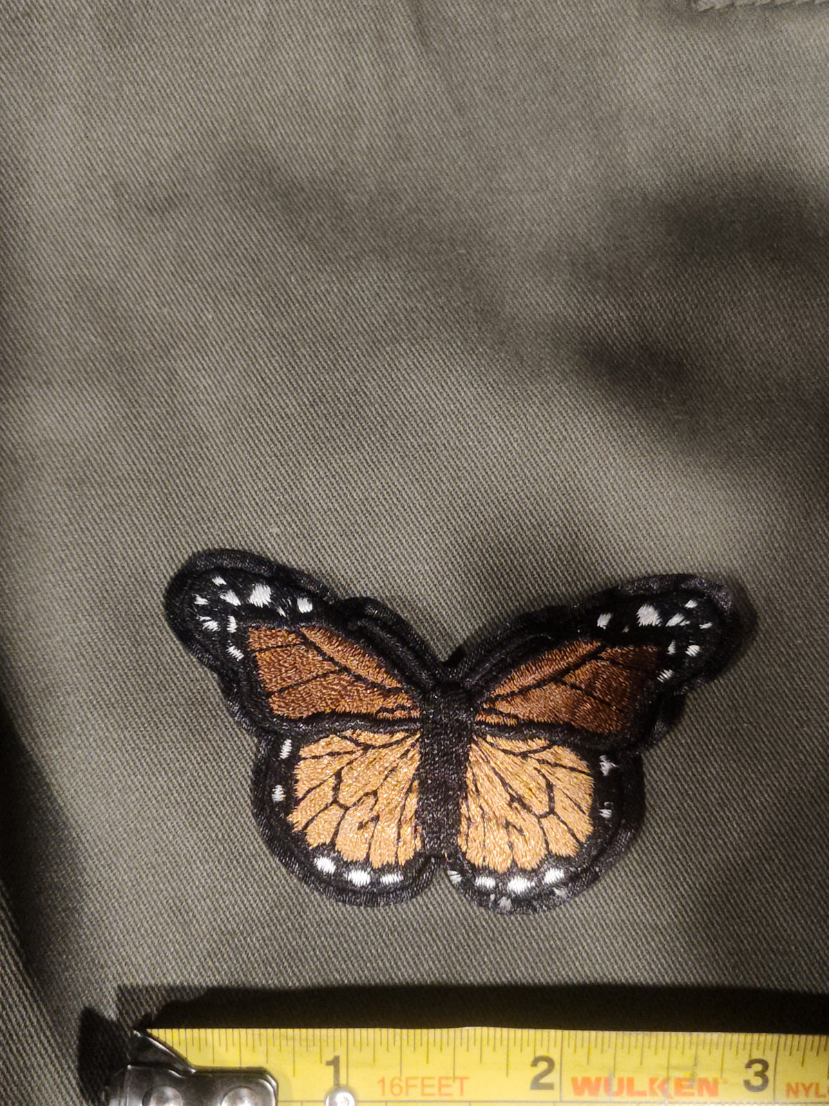 Papillon